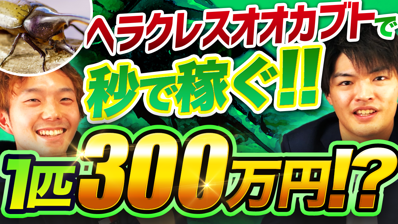 最強の副業！？】ヘラクレスオオカブトの仕入れから販売までを徹底解説【昆虫販売】 - Webマーケティング完全攻略ブログ