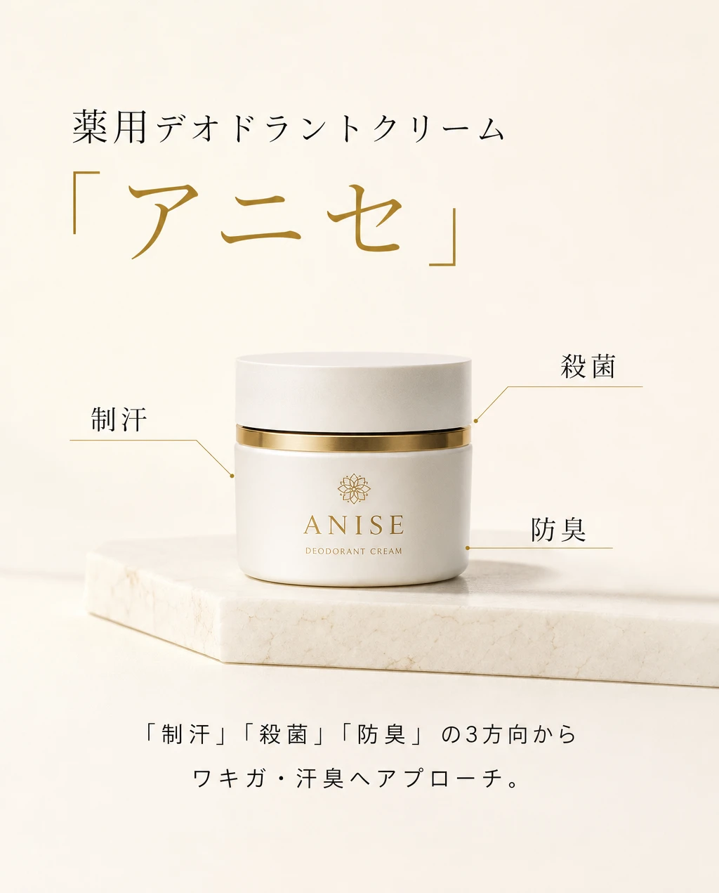 商品紹介